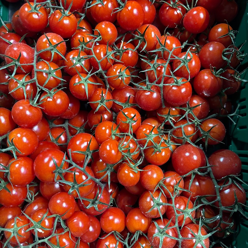 Kerstomaatjes rood - Lincealm BE