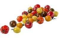 Tomaat Kerstomaatjes Cherry Mix - BE