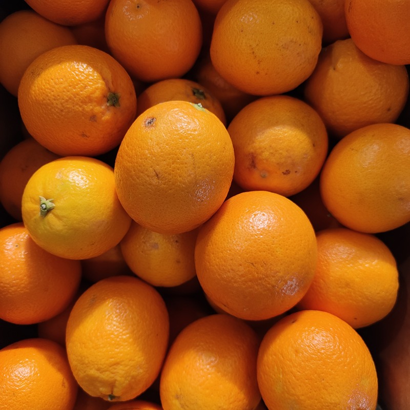 Persappelsien - SP Klein - prijs per kilo