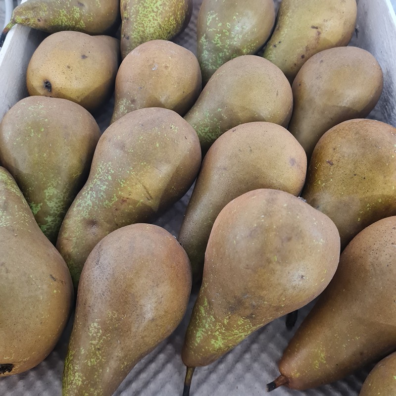 Peer Conference - De Fruittuin (per kilo)