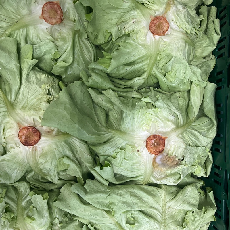 Kropsla - BE (per stuk)