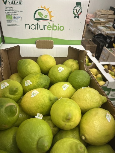 Citroen Fino - ES  (per kilo)