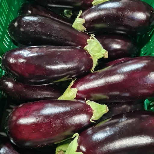 Aubergine - EcoVeg BE (prijs per kg)