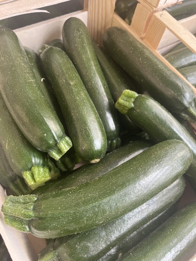 Courgette groen - Goed ter Heule BE prijs per kilo