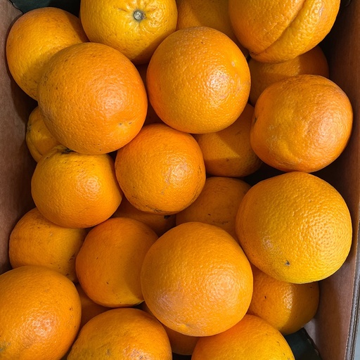 Appelsien