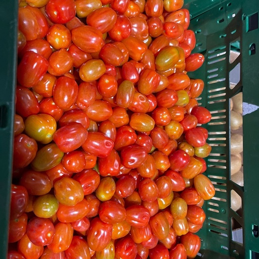 Tomaat mini-pruim - EcoVeg BE Prijs/kg