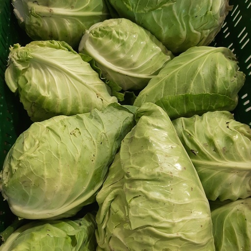 Spitskool groen BE (per stuk)