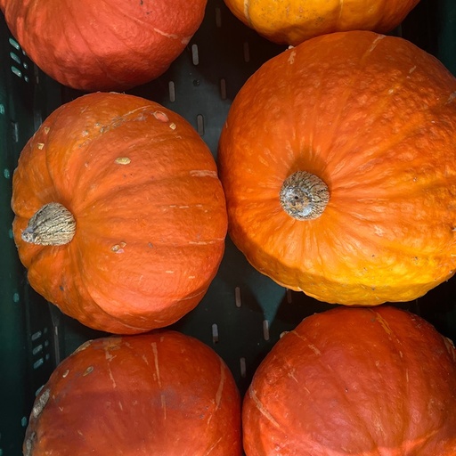 Pompoen - Boer Guy BE (per kilo)
