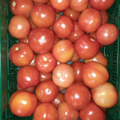 Tomaat los - EcoVeg BE (per kilo)